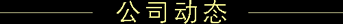 公司动态